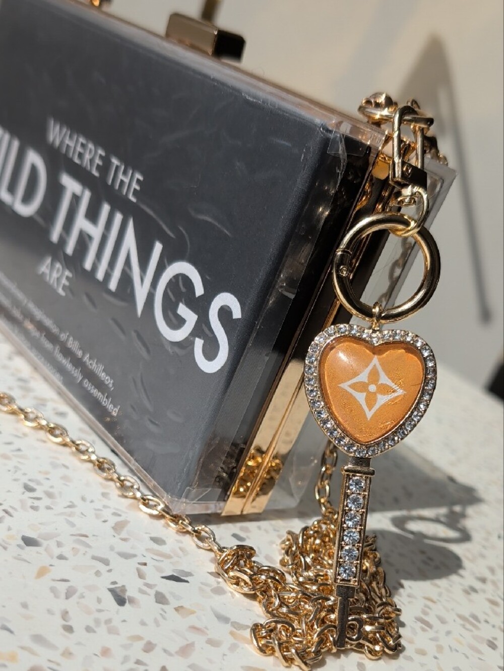 'Where The Wild Things Are' Upcycled Clear Acrylic Clutch - Wearable Art